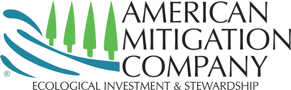 American Mitigation Company