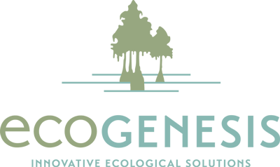 ecoGENESIS LLC